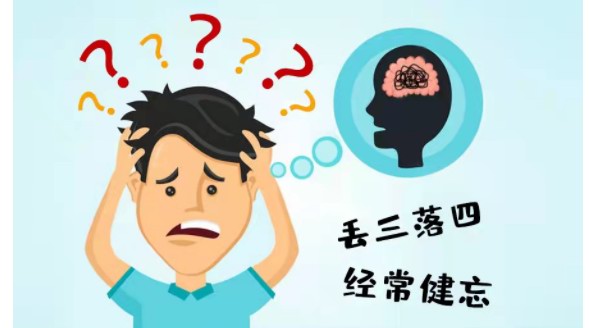 补肾抗衰系列谈——记忆力下降？神经衰老能“截住”！