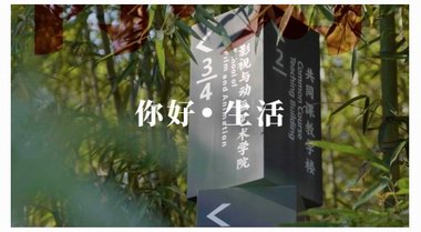 联动中国美术学院，名创优品以原创设计搭建美好生活图景