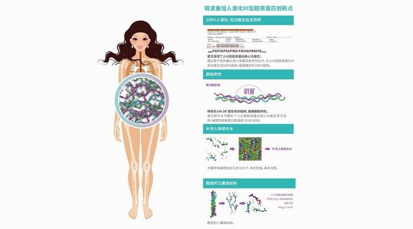 锦波立足产学研，建设全球首家人源化胶原蛋白产业链