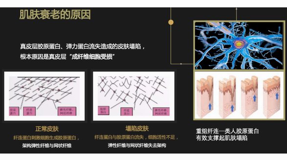 重组纤连-胶原蛋白：美尚洁打造新一代美容抗衰“神器”