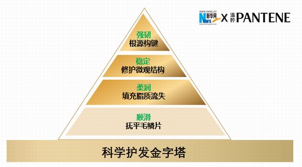 潘婷携手新华网共同打造《科学护发金字塔》——引领消费者科学护发新风向