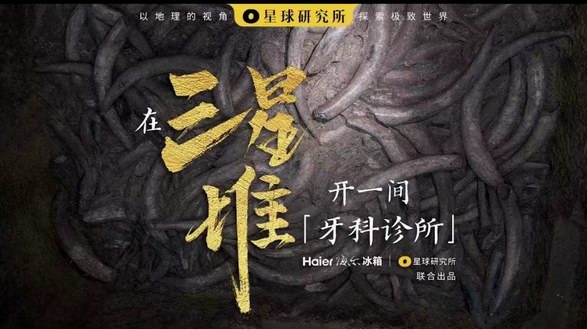 冰箱怎么守护象牙？三星堆实地探秘