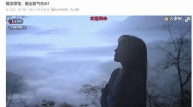 归来仍是&ldquo;顶流&rdquo;，李子柒回归后视频播放过亿，微博涨粉超百万，此前断更因身陷股权纠纷案