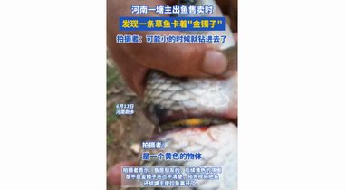 湖南一男子钓上无名小鱼，身上还卡着一枚金戒指，自带&ldquo;赎金&rdquo;？