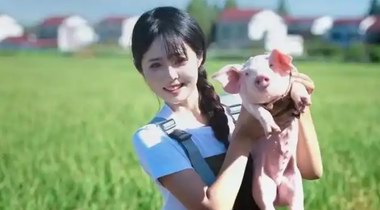 辞职回家养猪空姐发声：猪场特臭，待一天人都腌入味了