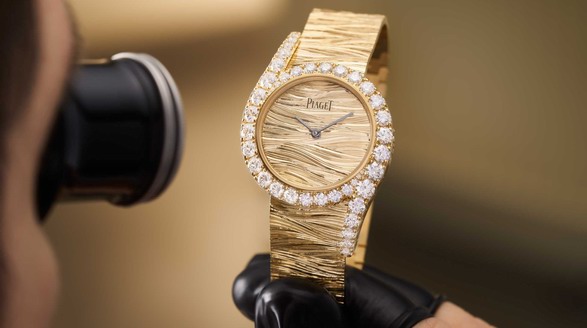 选表不踩坑，《2025最热门10个手表品牌选购指南》, 助你找到心仪之选