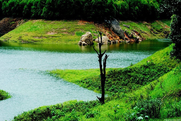 奥斯卡金像奖揭晓 推动“少年派”主题游热潮