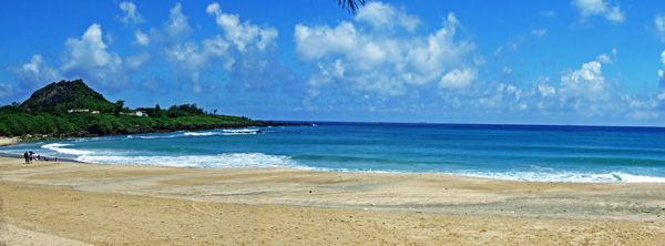 奥斯卡金像奖揭晓 推动“少年派”主题游热潮