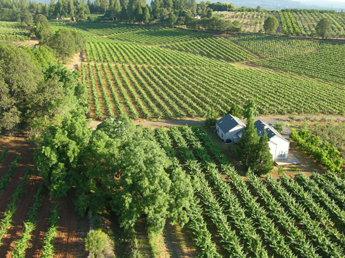 加州的埃尔多拉多酒乡 California’s El Dorado Wine Country